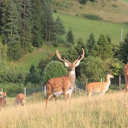 Lapszanska Ostoja Łapsze Niżne