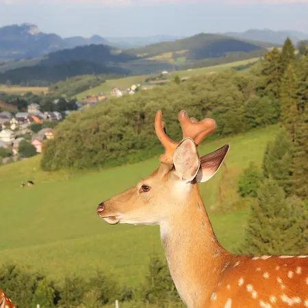 Farm stay Lapszanska Ostoja *